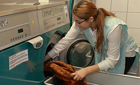 Eine junge Frau fllt Wsche in eine Waschmaschine.