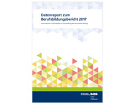 Titelseite des Datenreports zum Berufsbildungsbericht 2017