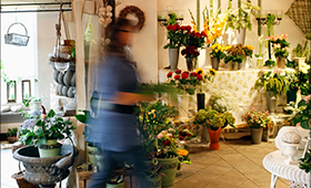 Auszubildende geht durch einen Blumenladen Auszubildende geht durch einen Blumenladen
