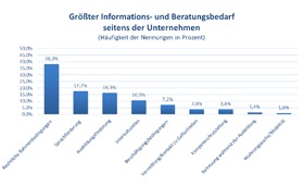 bersicht Informations- und Beratungsbedarf