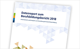 Die Titelseite des BIBB-Datenreports 2018