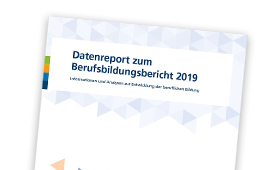 Cover des Datenreports 2019