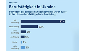 Grafik zur Berufsttigkeit der Geflchteten