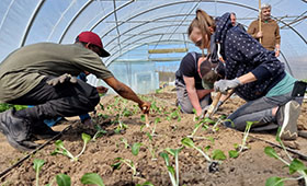 Junge Menschen bei der Feldarbeit. Bild: ProLand