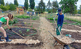 Eine junge Frau verteilt mit einer Harke Mulch zwischen den Beeten. Ein junger Mann schaufelt Mulch aus einer Karre. Bild: ProLand