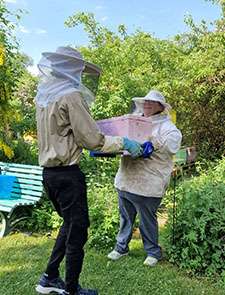 Zwei Personen in Schutzkleidung hantieren mit einem Kasten mit Bienen
